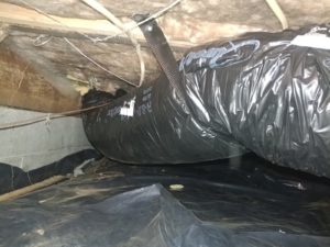 Air duct cleaning Service
